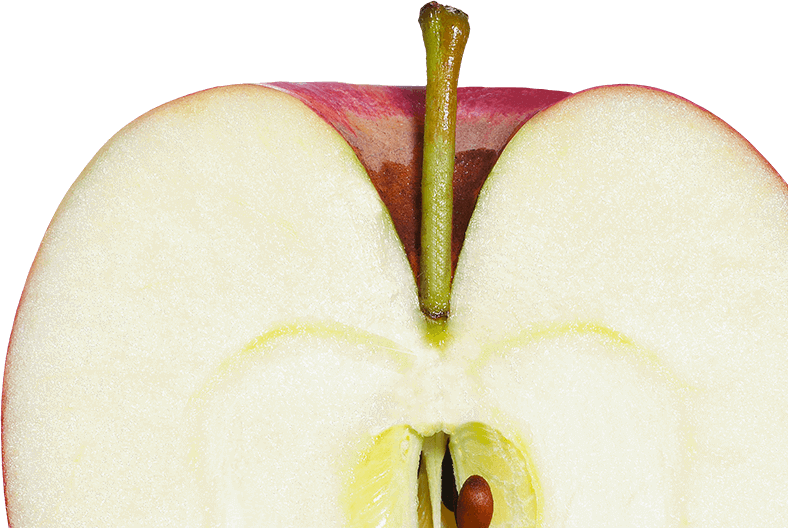 Apple-desktop-bottom